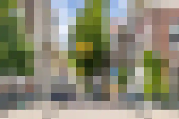 Dam 34 Schiedam thumbnail 42