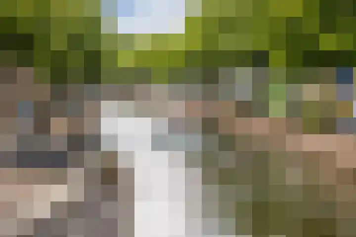 Dam 34 Schiedam thumbnail 43
