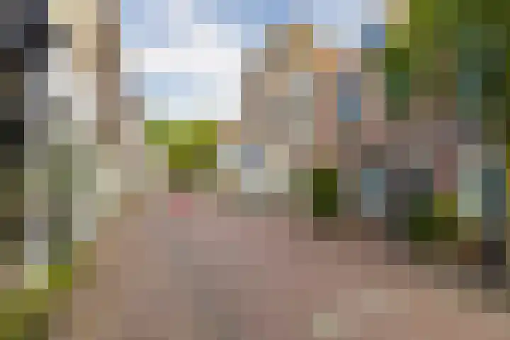 Dam 34 Schiedam thumbnail 44