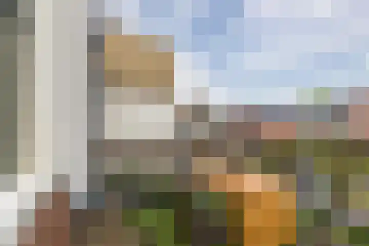 Dam 34 Schiedam thumbnail 5