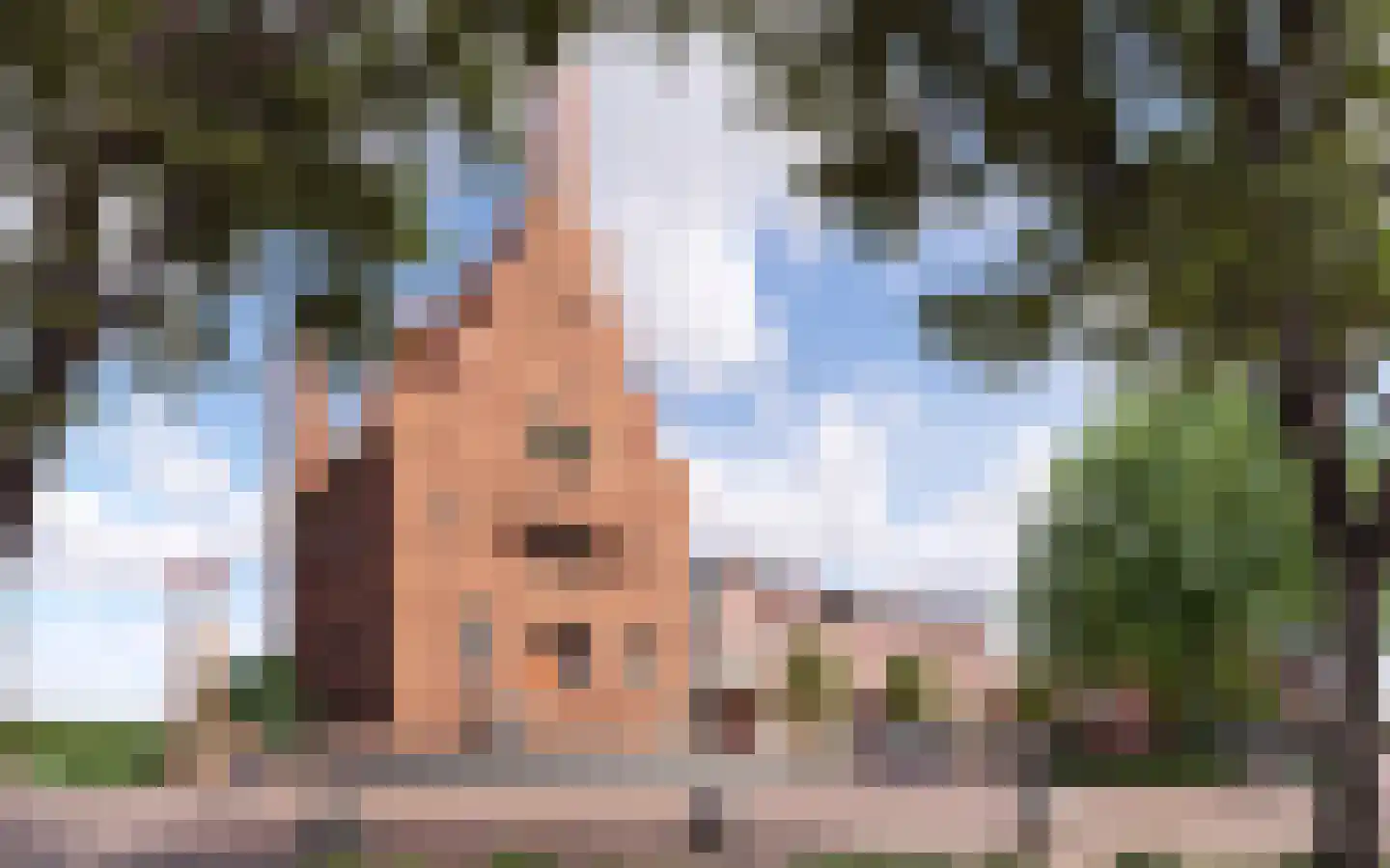 Dam 4 Medemblik thumbnail 9