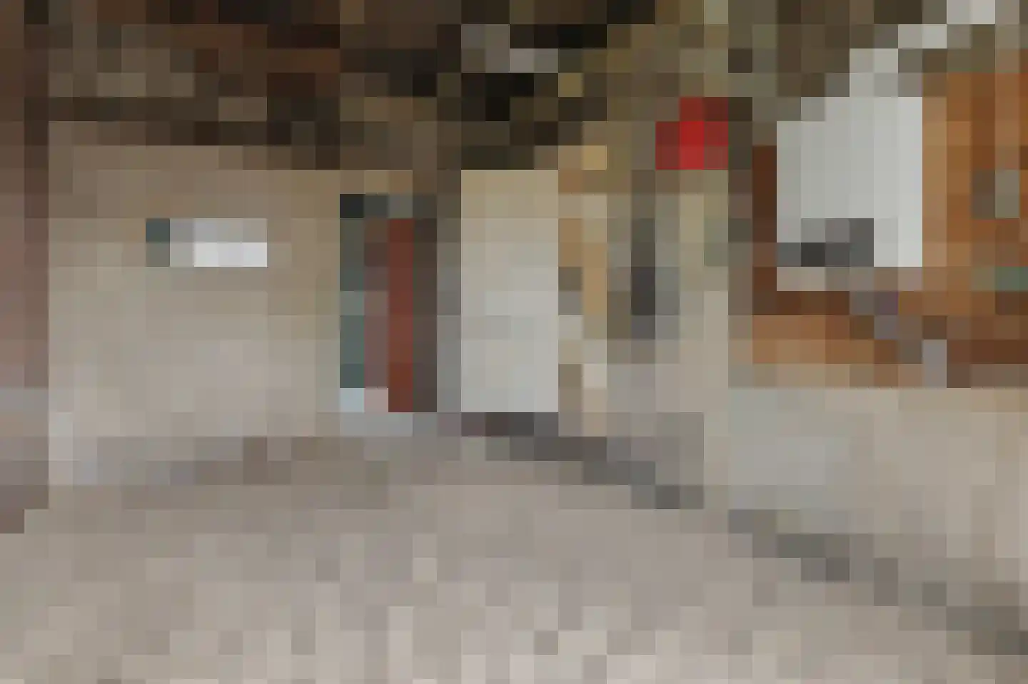Dam 4 Yerseke thumbnail 14