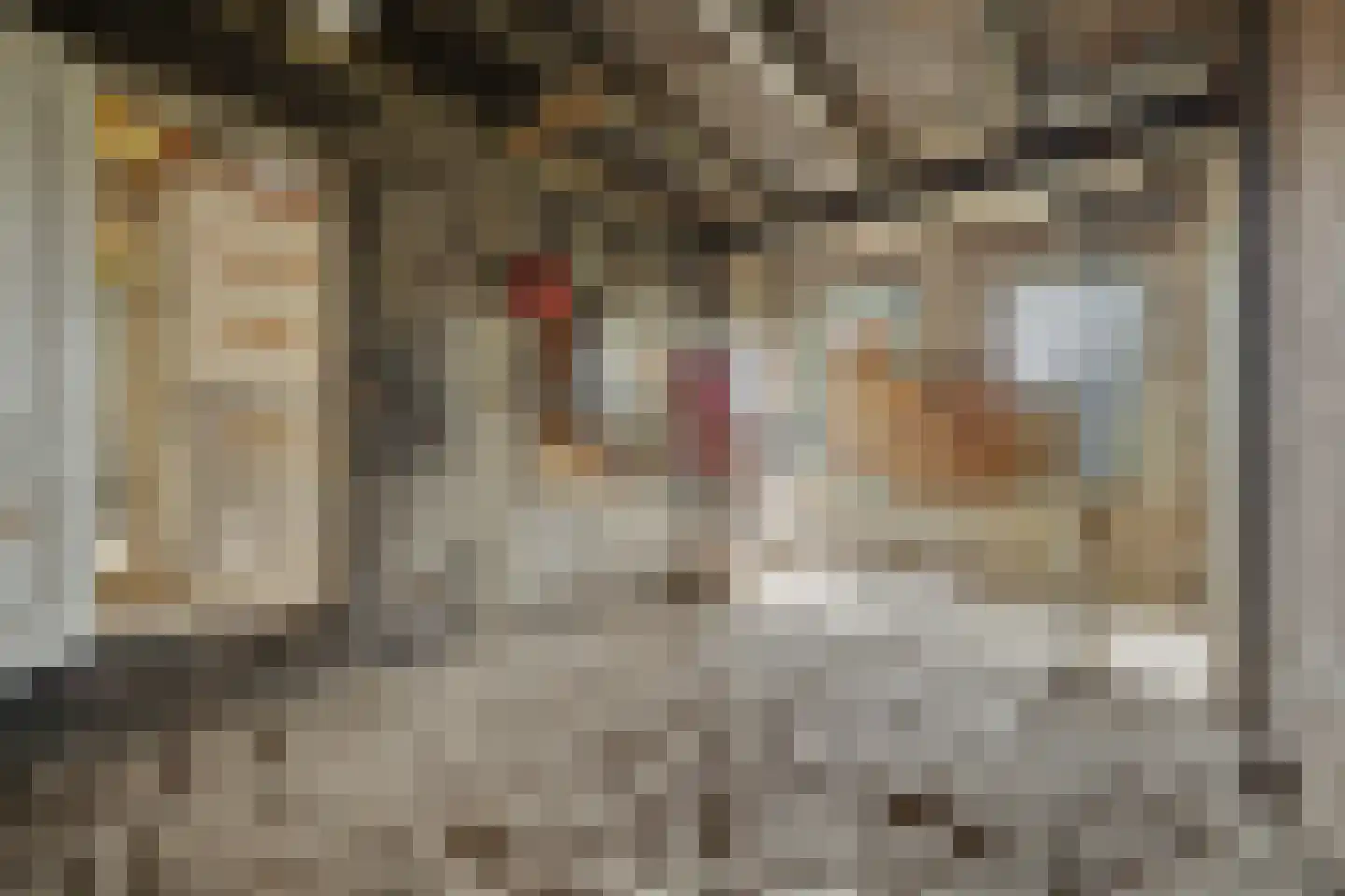 Dam 4 Yerseke thumbnail 16