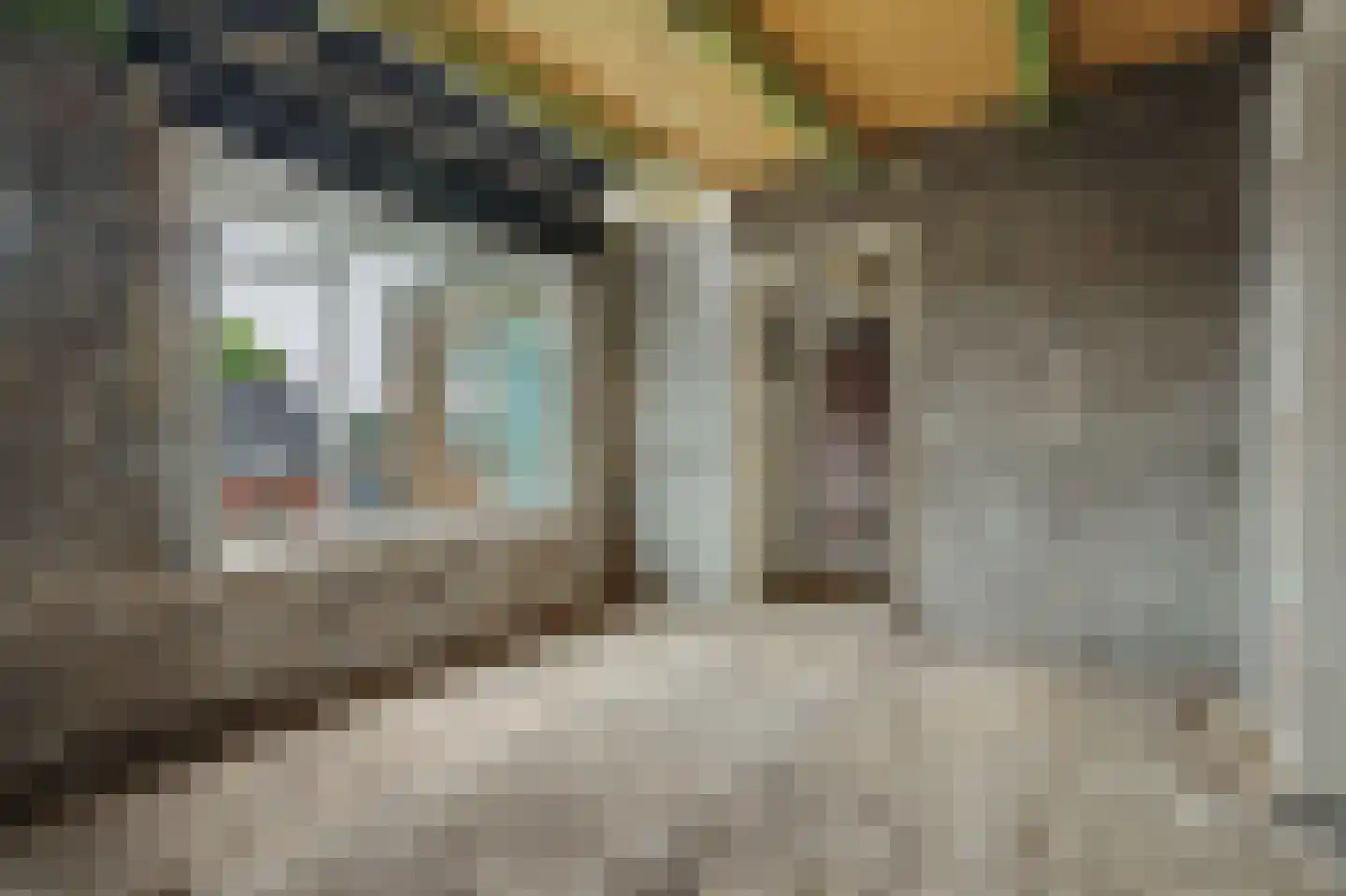 Dam 4 Yerseke thumbnail 19