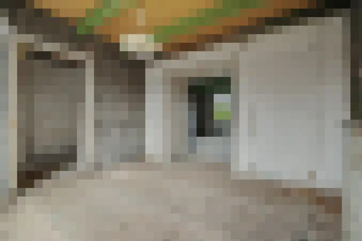 Dam 4 Yerseke thumbnail 20