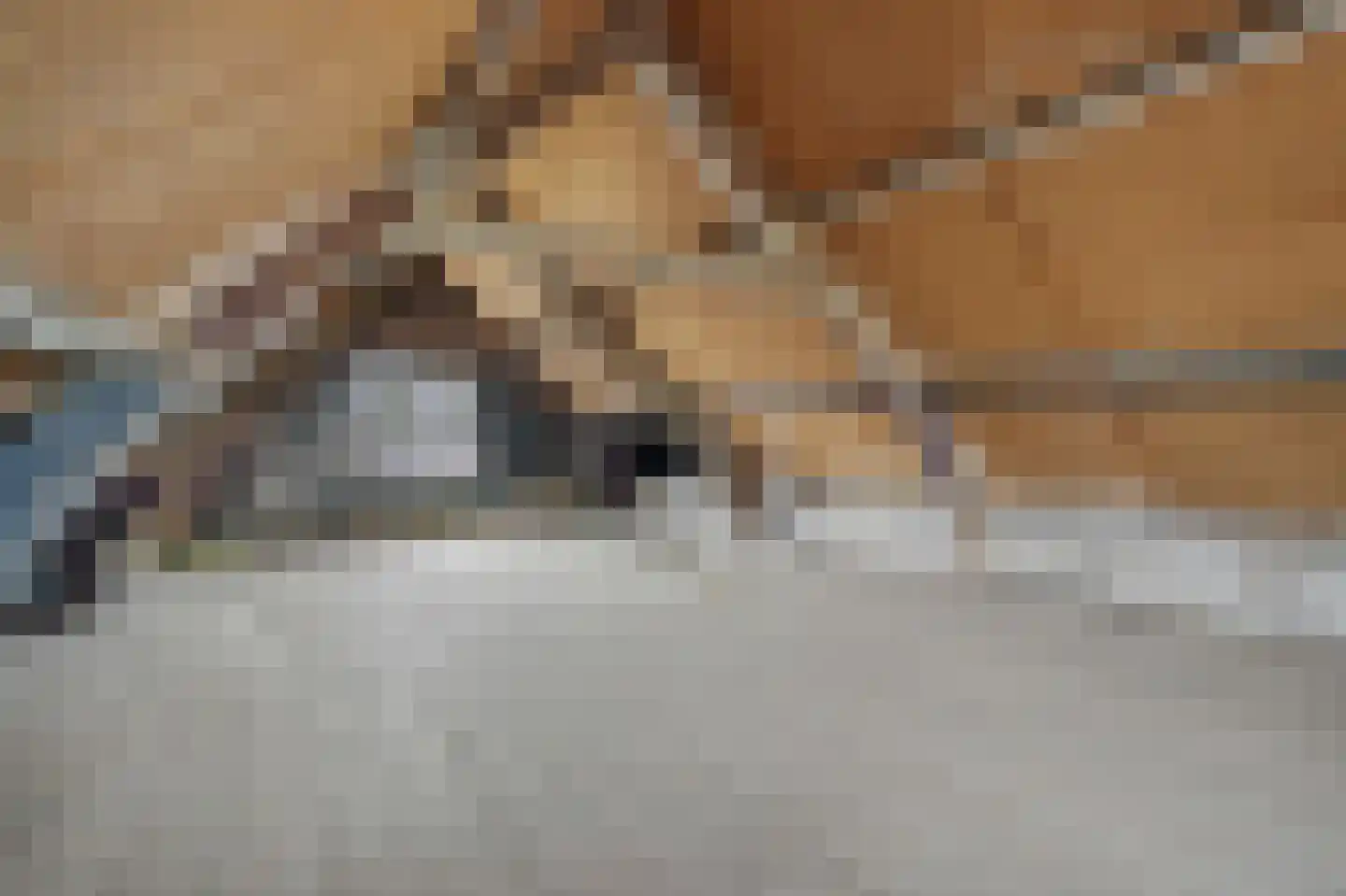 Dam 4 Yerseke thumbnail 24