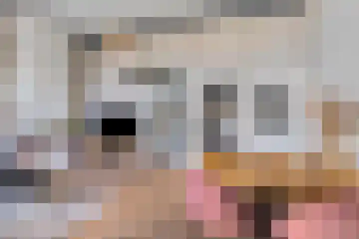 Dam 43 B Middelburg thumbnail 16