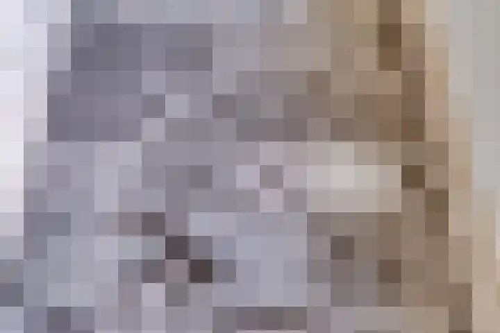 Dam 43 B Middelburg thumbnail 26