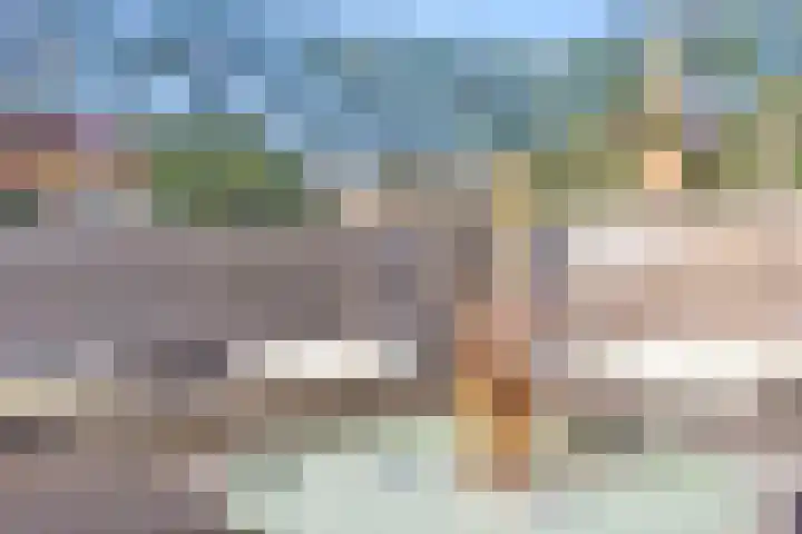 Dam 43 B Middelburg thumbnail 30