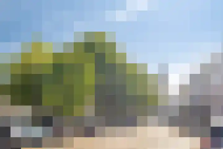 Dam 43 B Middelburg thumbnail 34