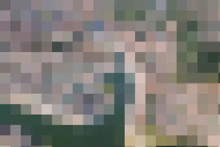 Dam 43 B Middelburg thumbnail 5