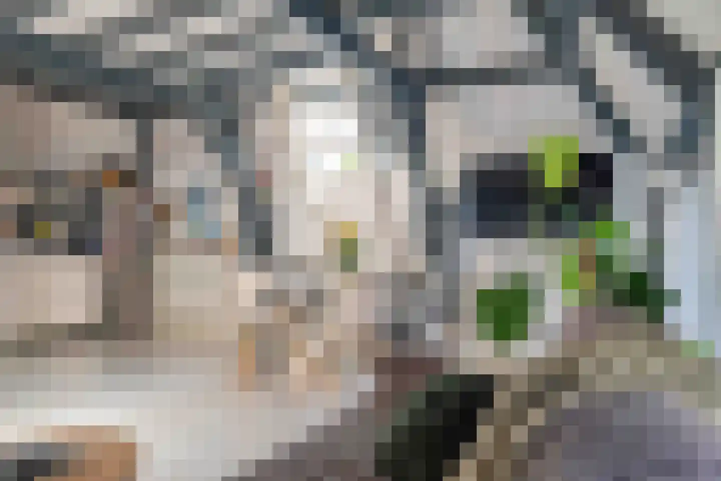 Dam 43 E Middelburg thumbnail 10