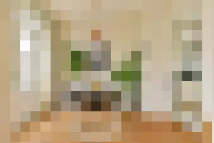Dam 43 E Middelburg thumbnail 13