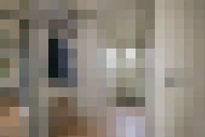 Dam 43 E Middelburg thumbnail 7