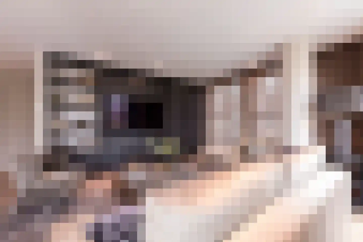 Dam 5 F Amsterdam thumbnail 16