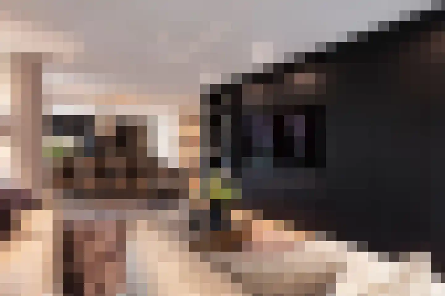 Dam 5 F Amsterdam thumbnail 17