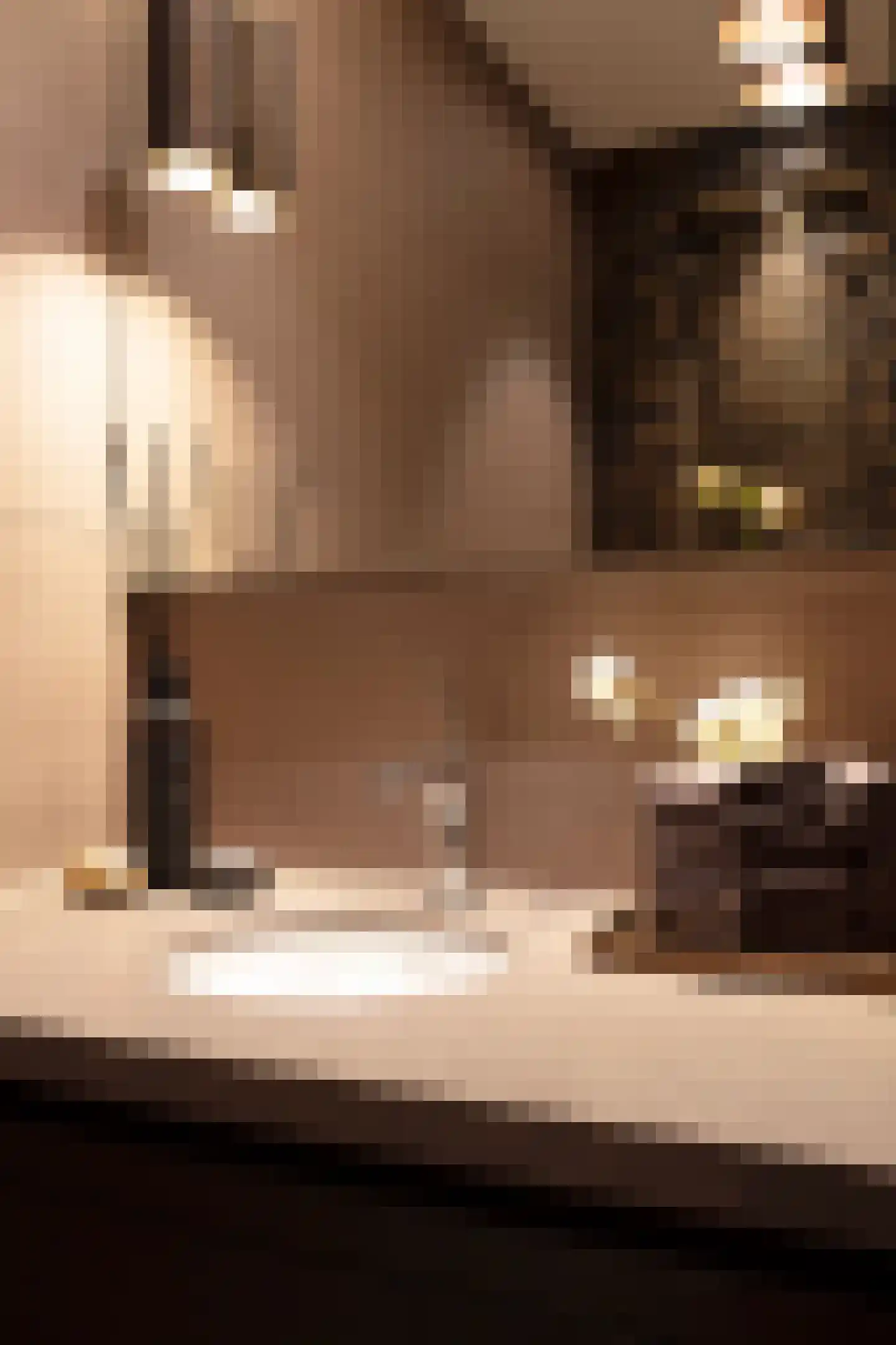 Dam 5 F Amsterdam thumbnail 9
