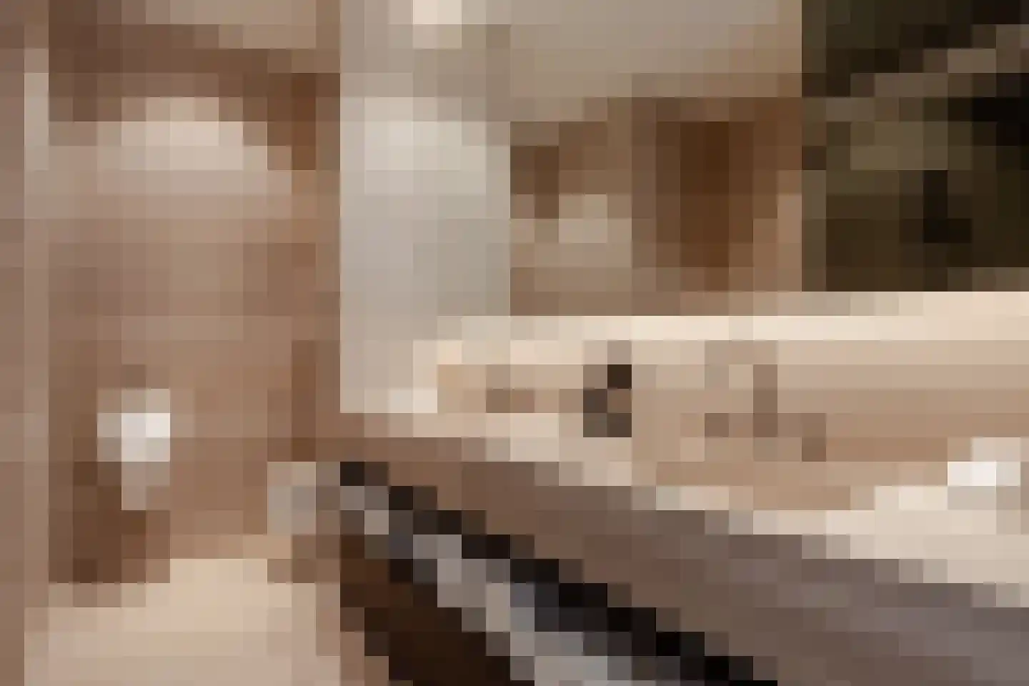 Dam 5 U Amsterdam thumbnail 22