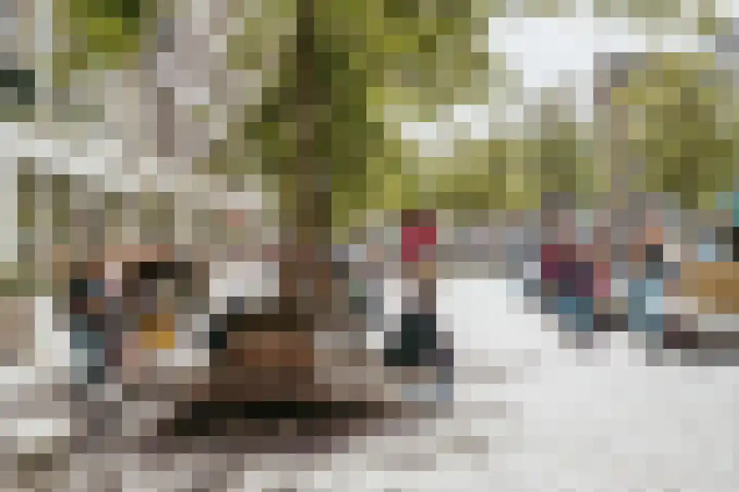 Dam 5 U Amsterdam thumbnail 42