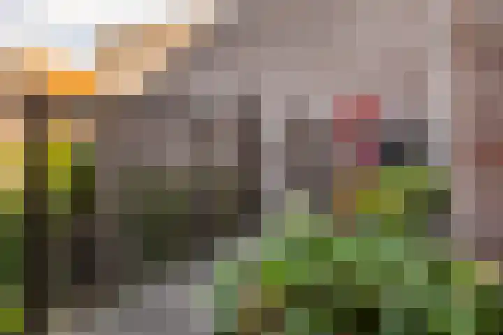 Dam 59 Arkel thumbnail 15