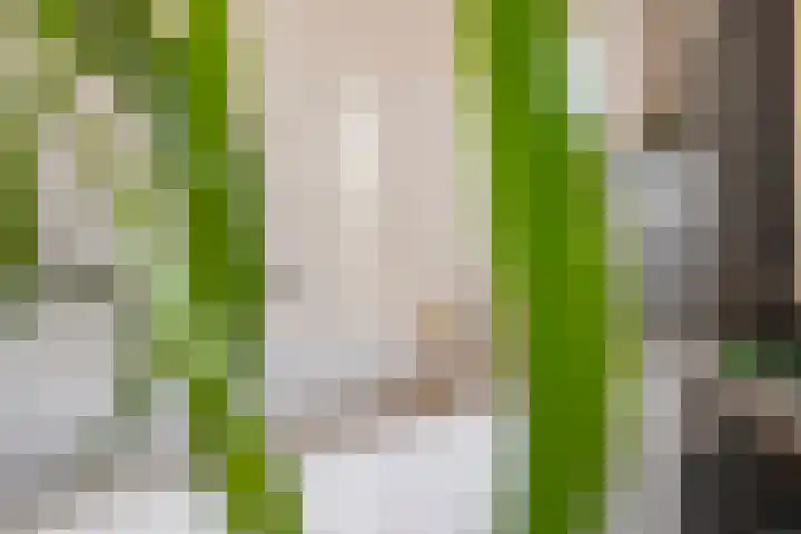 Dam 59 Arkel thumbnail 21