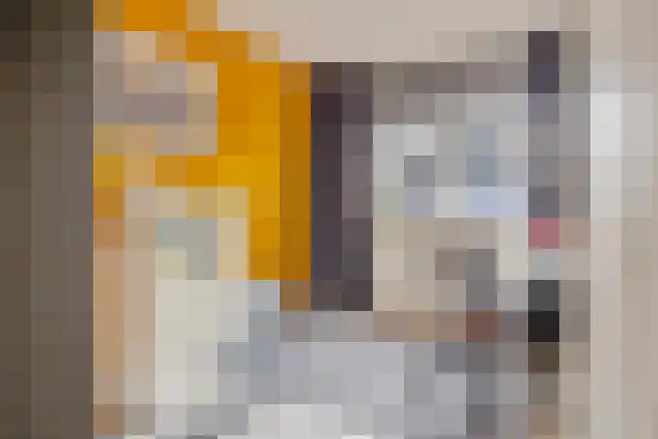 Dam 59 Arkel thumbnail 22