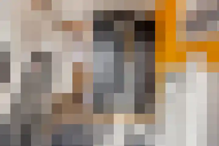 Dam 59 Arkel thumbnail 23