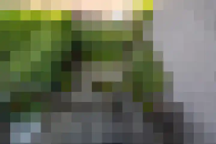 Dam 59 Arkel thumbnail 25