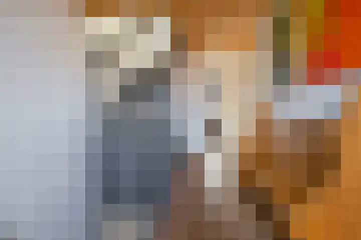 Dam 59 Arkel thumbnail 26