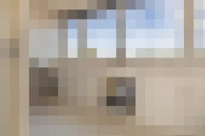 Dam 59 Arkel thumbnail 28