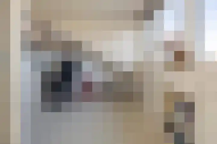 Dam 59 Arkel thumbnail 29