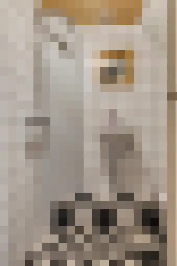 Dam 59 Arkel thumbnail 34