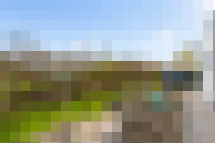 Dam 59 Arkel thumbnail 35