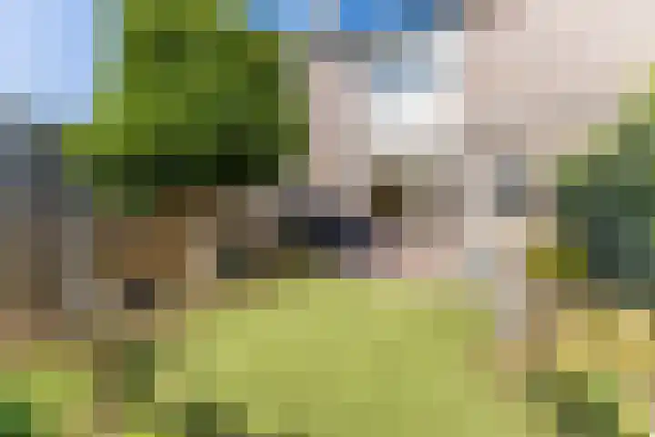 Dam 59 Arkel thumbnail 42