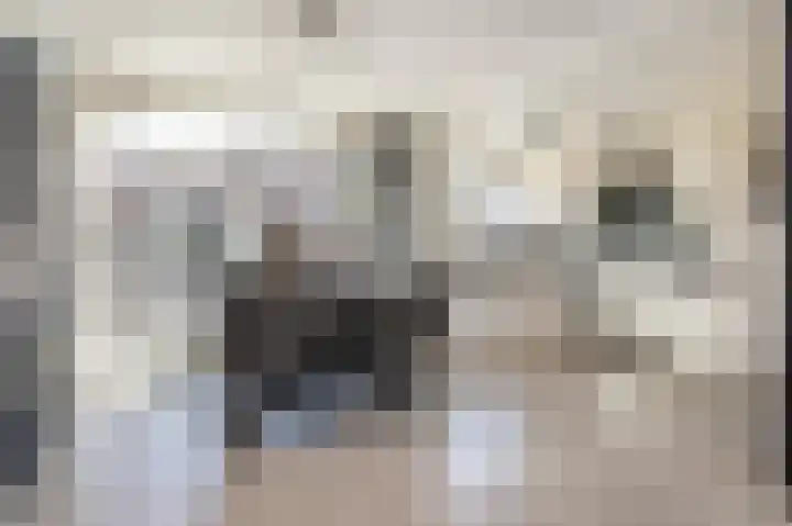 Dam 59 Arkel thumbnail 6