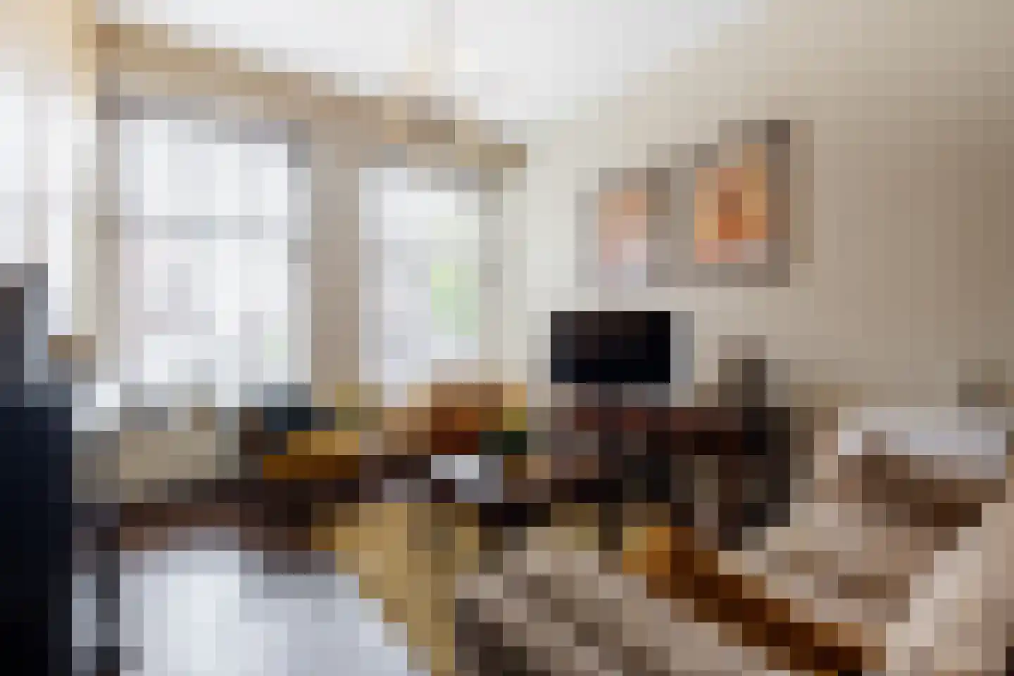 Dam 6 Ameide thumbnail 11