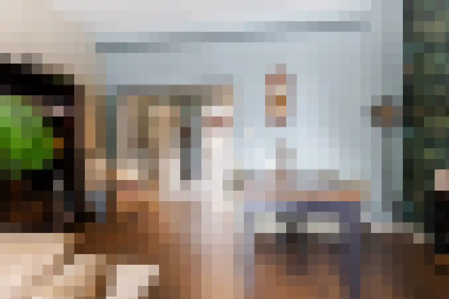 Dam 6 Ameide thumbnail 14