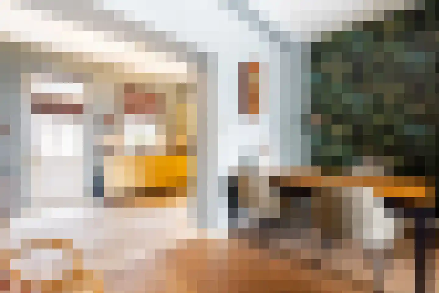 Dam 6 Ameide thumbnail 15