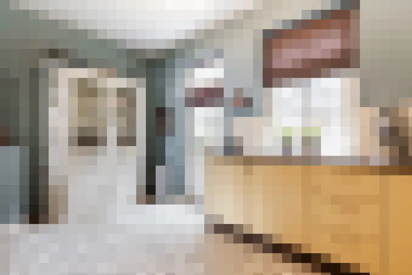 Dam 6 Ameide thumbnail 17