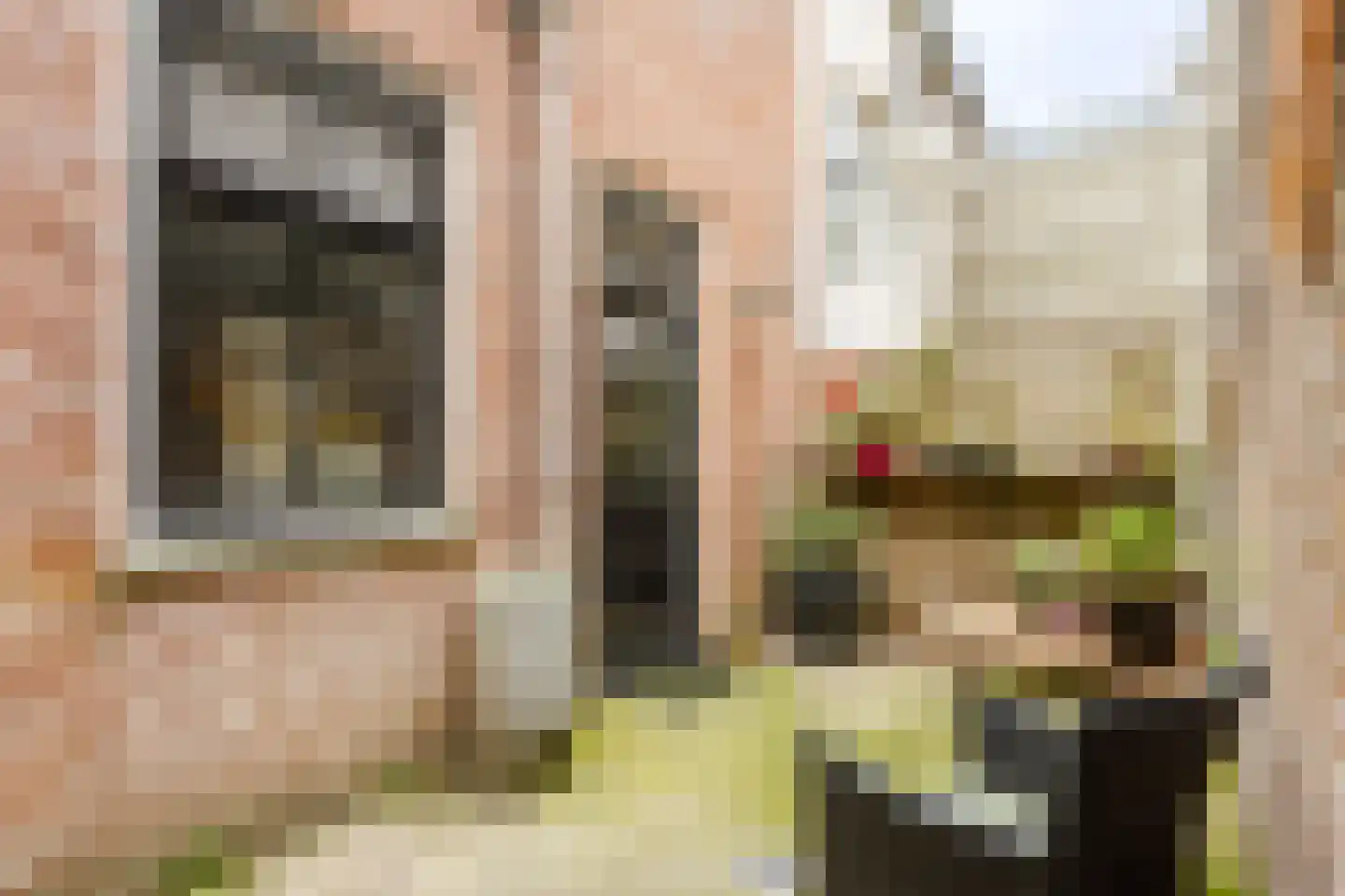 Dam 6 Ameide thumbnail 18