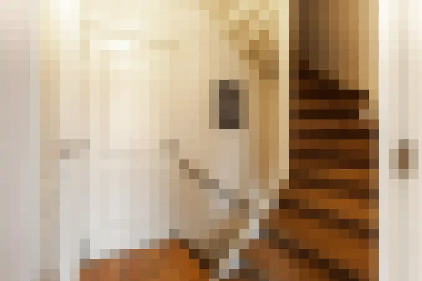 Dam 6 Ameide thumbnail 19