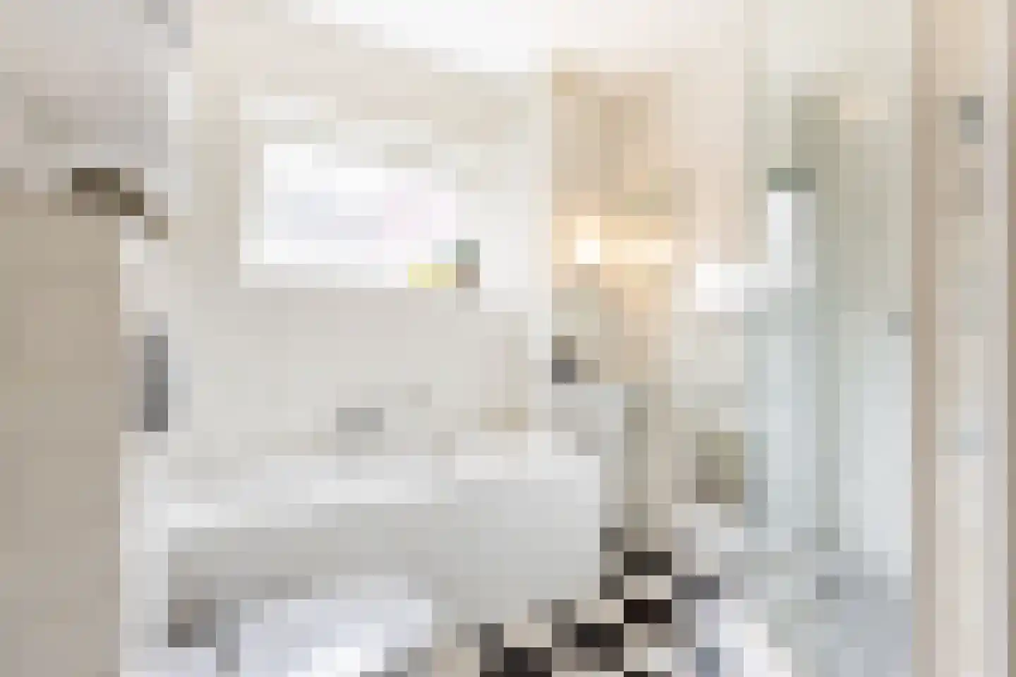Dam 6 Ameide thumbnail 20