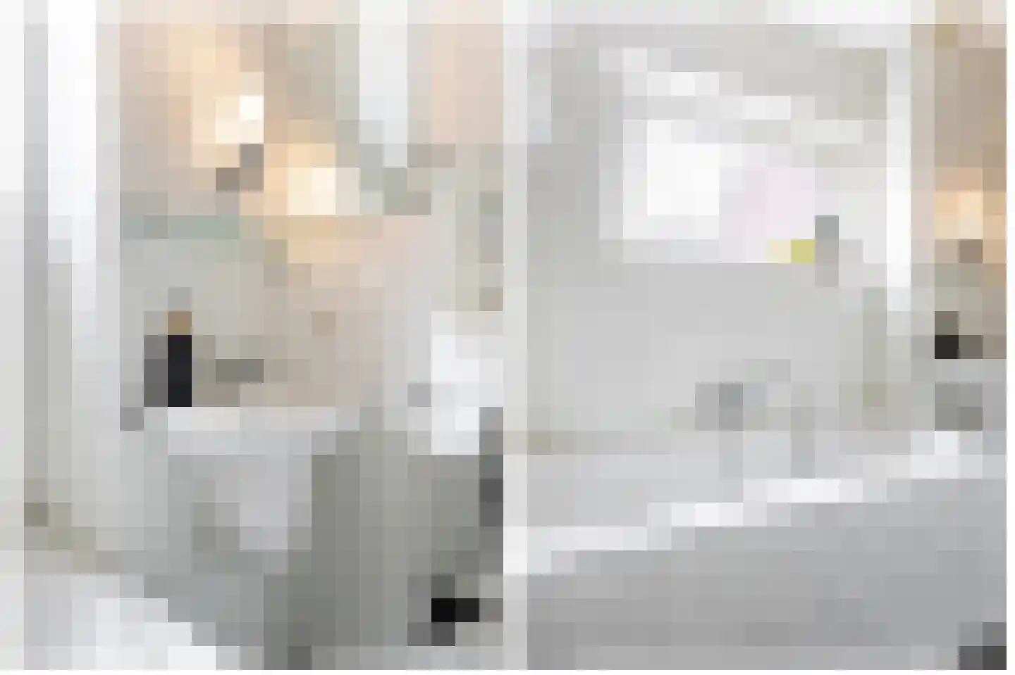 Dam 6 Ameide thumbnail 21