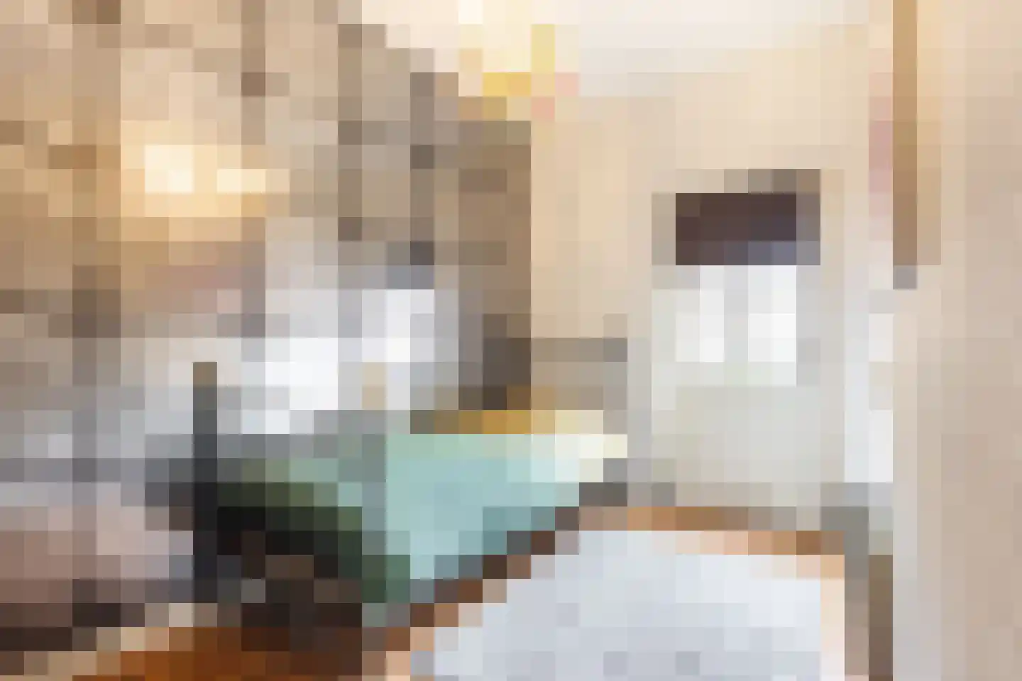 Dam 6 Ameide thumbnail 22