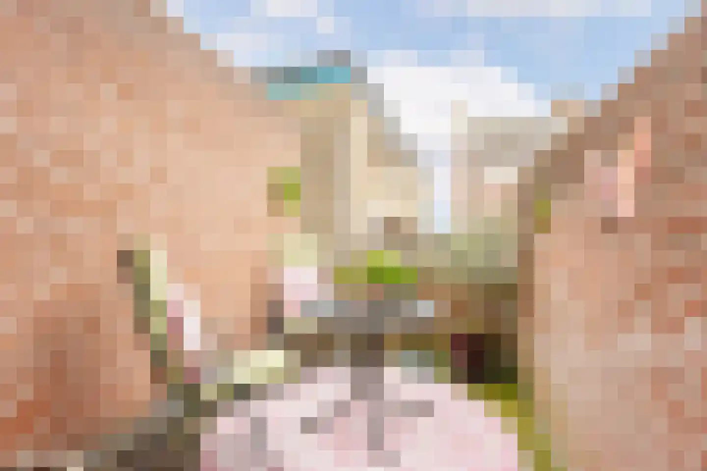 Dam 6 Ameide thumbnail 24