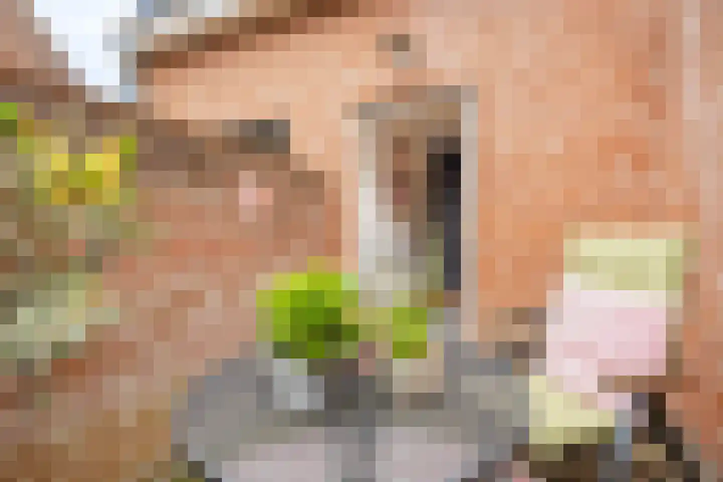 Dam 6 Ameide thumbnail 25