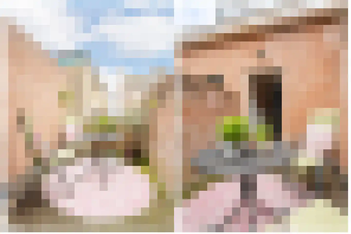 Dam 6 Ameide thumbnail 26