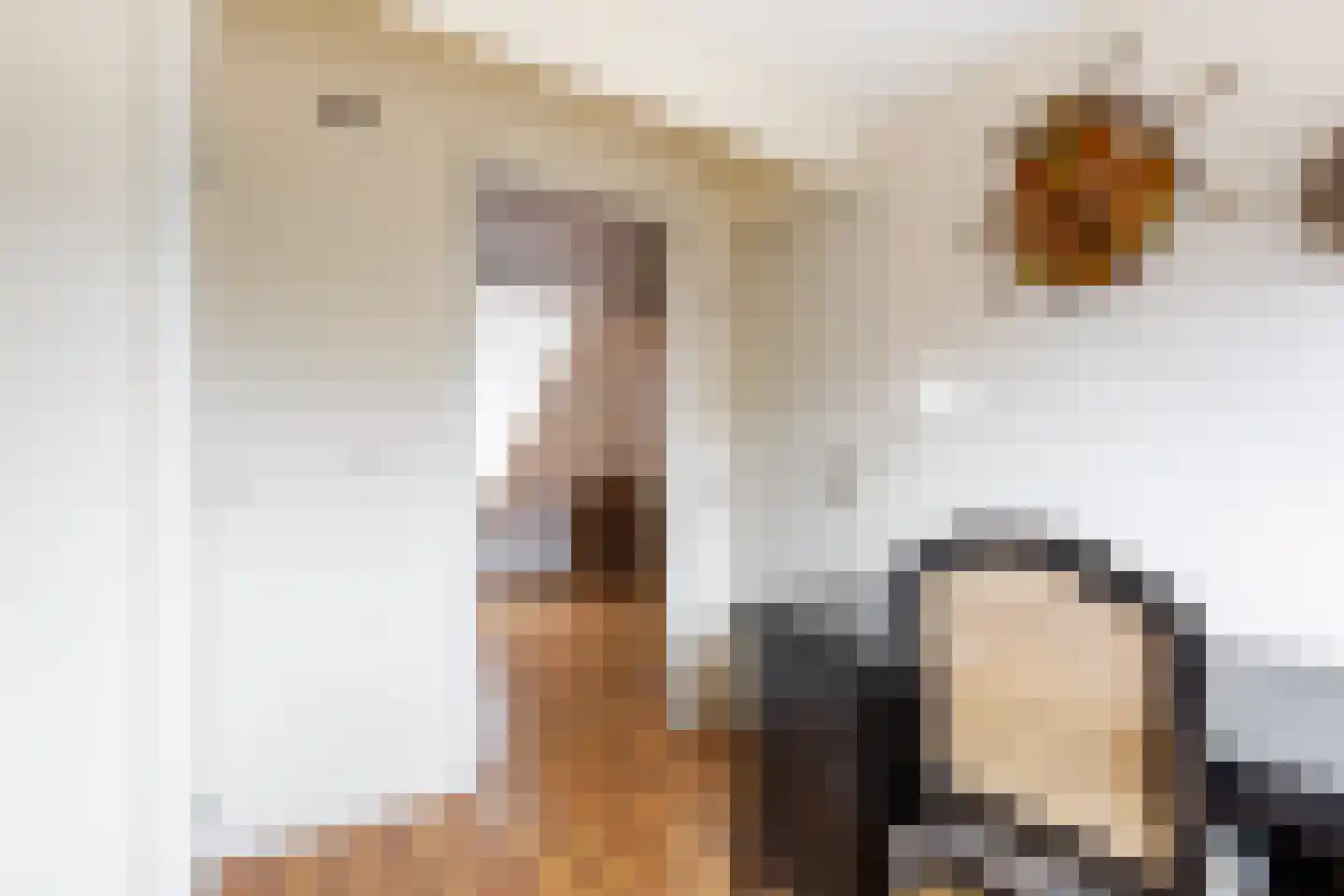 Dam 6 Ameide thumbnail 34