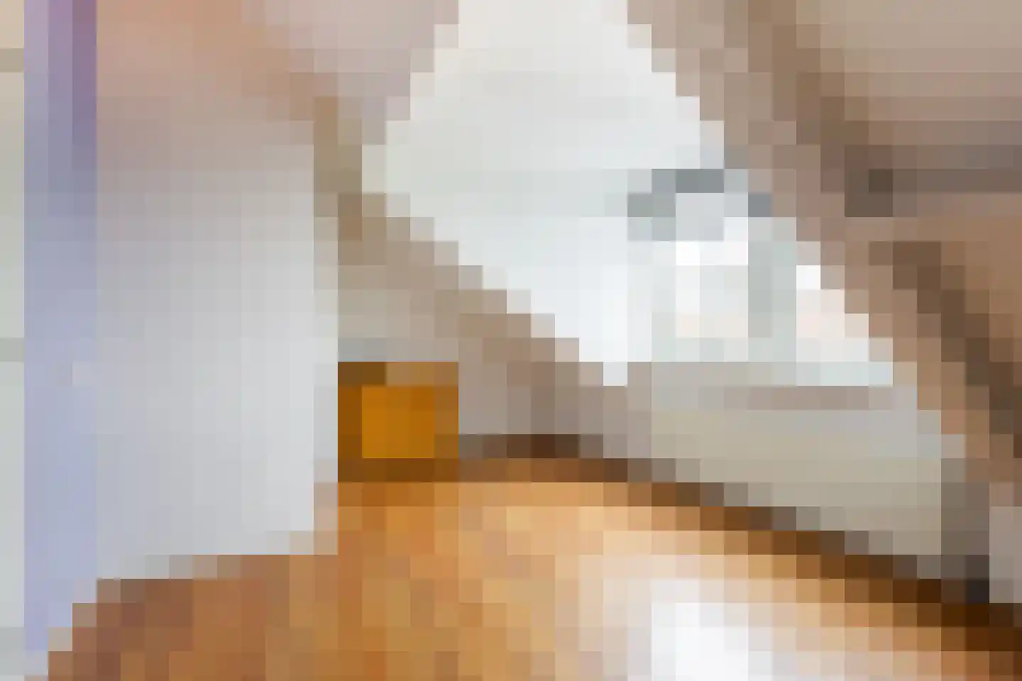 Dam 6 Ameide thumbnail 35