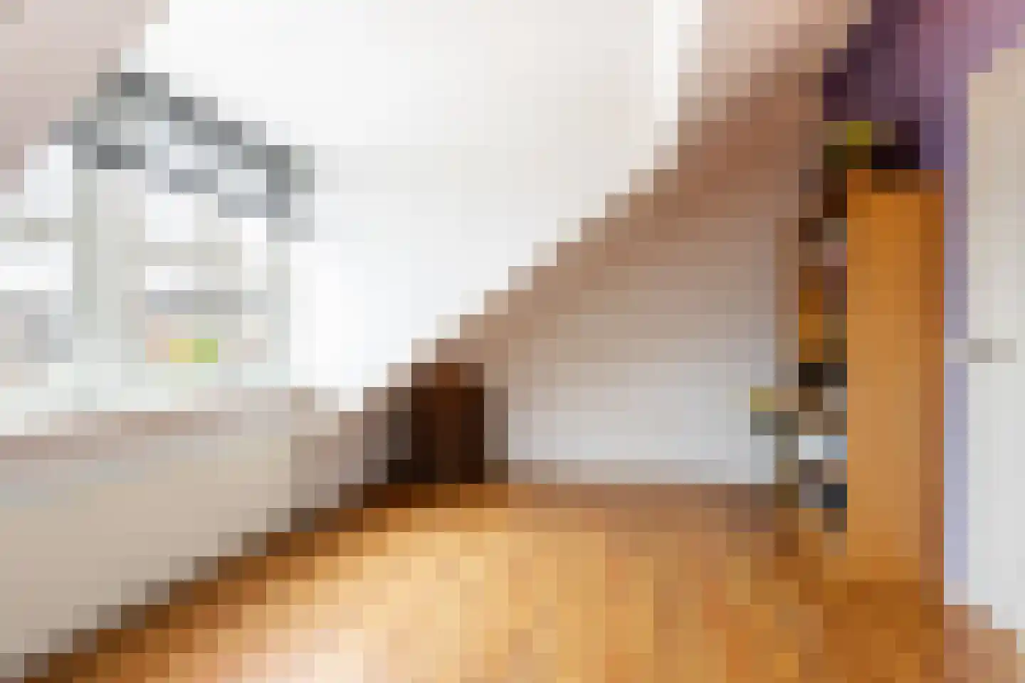 Dam 6 Ameide thumbnail 36